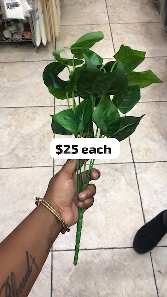 Leaves Bunch